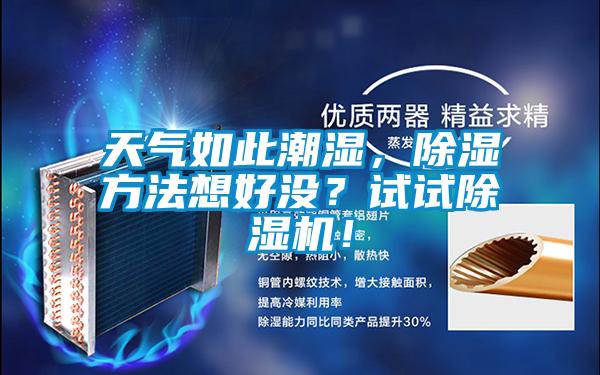 天氣如此潮濕，除濕方法想好沒？試試除濕機！