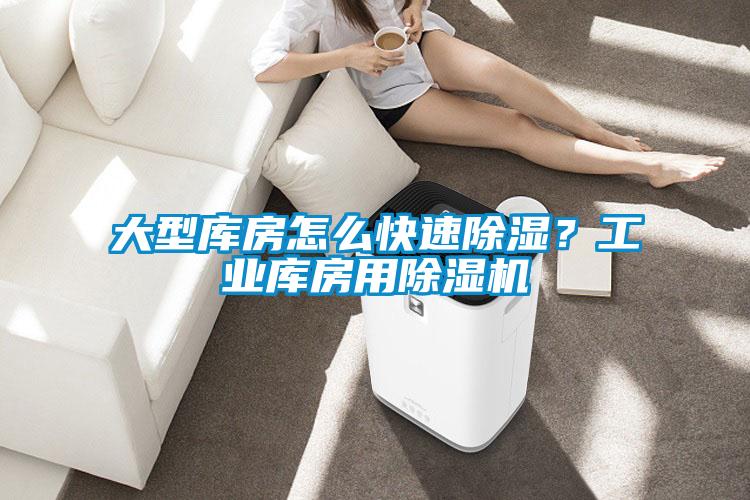大型庫房怎么快速除濕？工業(yè)庫房用除濕機(jī)