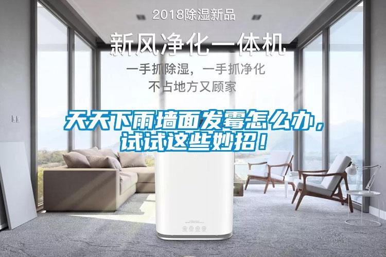 天天下雨墻面發霉怎么辦，試試這些妙招！