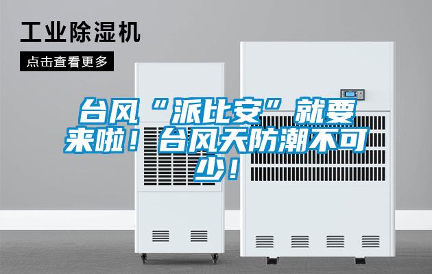 臺(tái)風(fēng)“派比安”就要來啦！臺(tái)風(fēng)天防潮不可少！