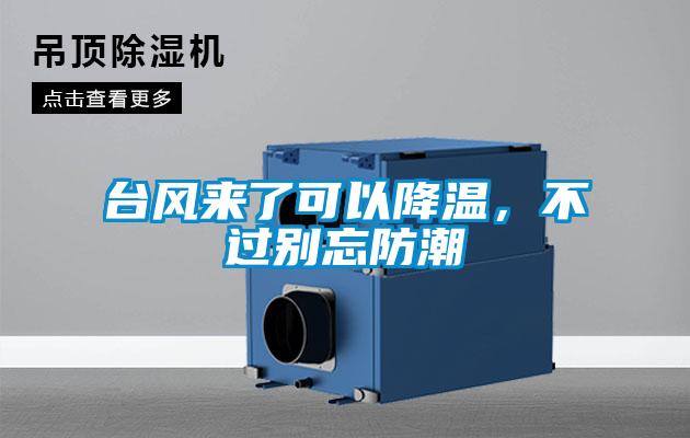 臺(tái)風(fēng)來(lái)了可以降溫，不過別忘防潮
