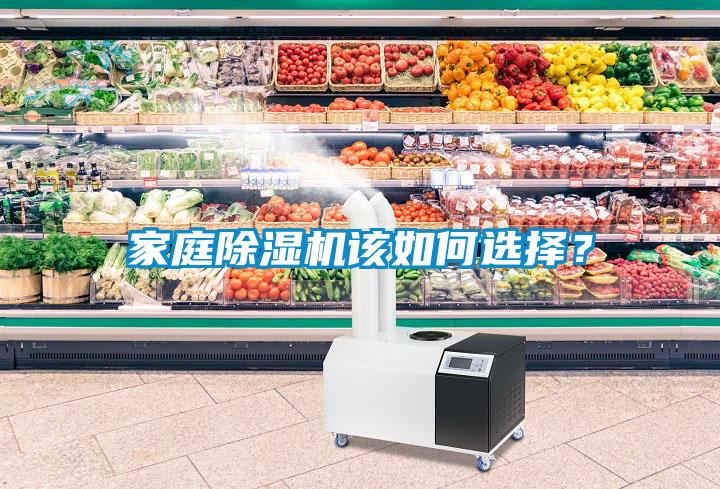 家庭除濕機該如何選擇？