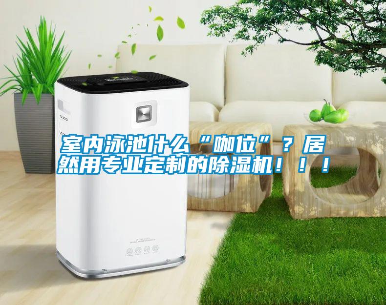 室內(nèi)泳池什么“咖位”？居然用專業(yè)定制的除濕機(jī)！！！