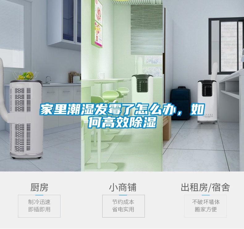 家里潮濕發霉了怎么辦，如何高效除濕