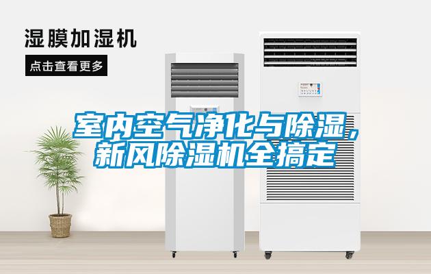 室內(nèi)空氣凈化與除濕，新風(fēng)除濕機(jī)全搞定