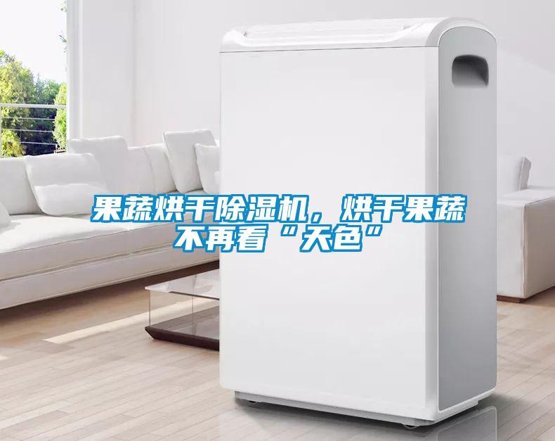 果蔬烘干除濕機，烘干果蔬不再看“天色”