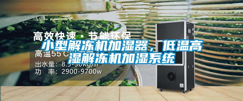小型解凍機加濕器，低溫高濕解凍機加濕系統