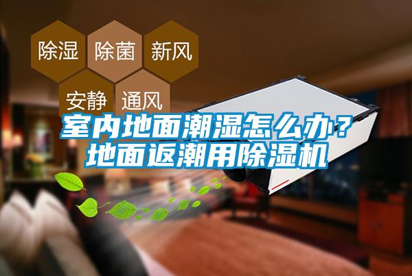 室內地面潮濕怎么辦？地面返潮用除濕機