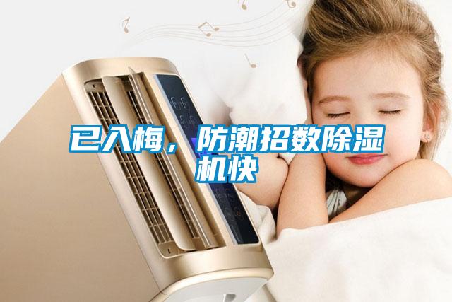 已入梅，防潮招數(shù)除濕機(jī)快
