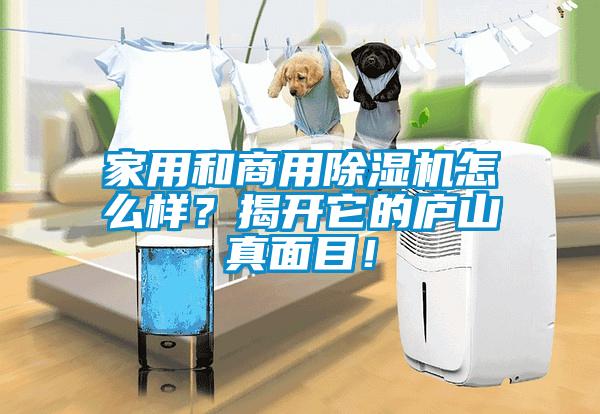 家用和商用除濕機怎么樣？揭開它的廬山真面目！