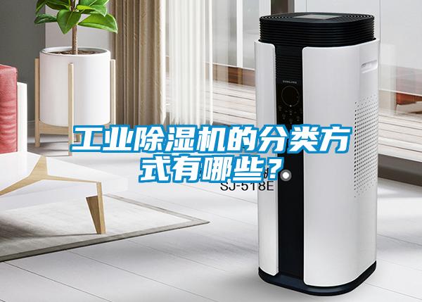 工業(yè)除濕機(jī)的分類(lèi)方式有哪些？