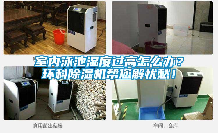 室內泳池濕度過高怎么辦？環科除濕機幫您解憂愁！