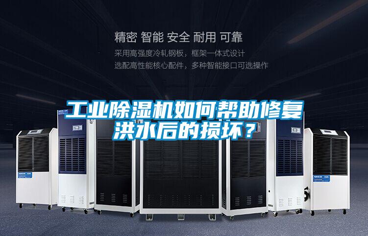 工業(yè)除濕機如何幫助修復(fù)洪水后的損壞？