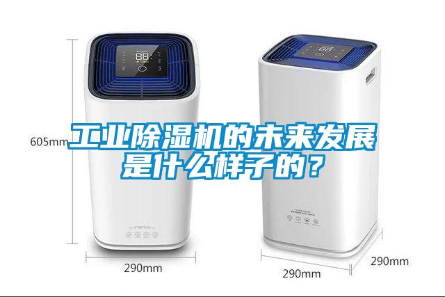 工業(yè)除濕機(jī)的未來發(fā)展是什么樣子的？