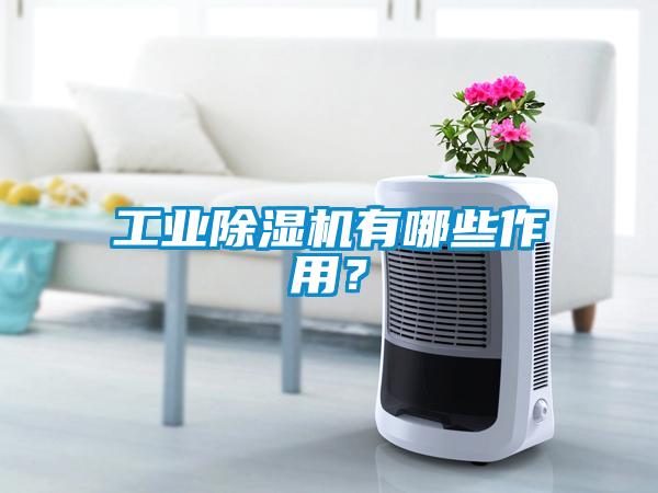 工業除濕機有哪些作用？