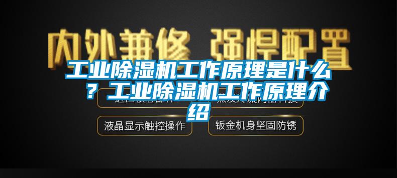 工業除濕機工作原理是什么 ？工業除濕機工作原理介紹