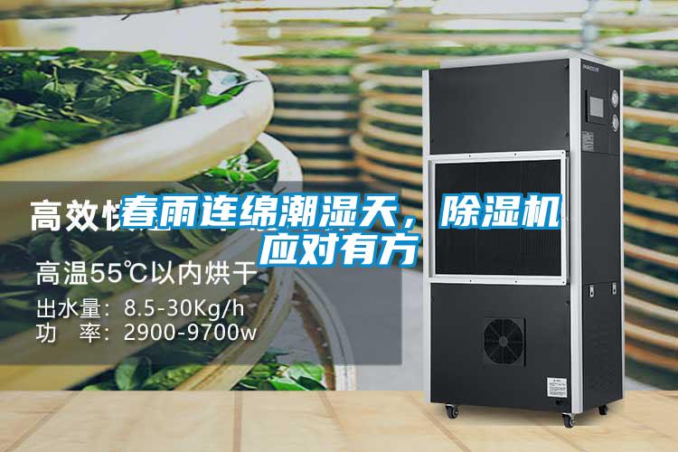 春雨連綿潮濕天，除濕機應對有方