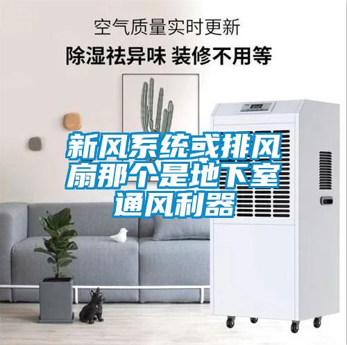 新風(fēng)系統(tǒng)或排風(fēng)扇那個是地下室通風(fēng)利器