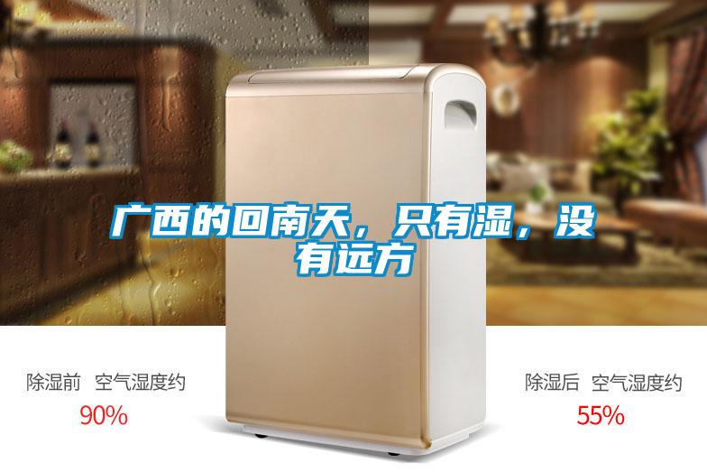 廣西的回南天，只有濕，沒有遠方