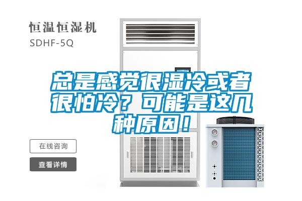 總是感覺很濕冷或者很怕冷？可能是這幾種原因！