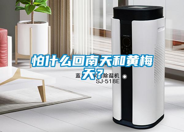 怕什么回南天和黃梅天？