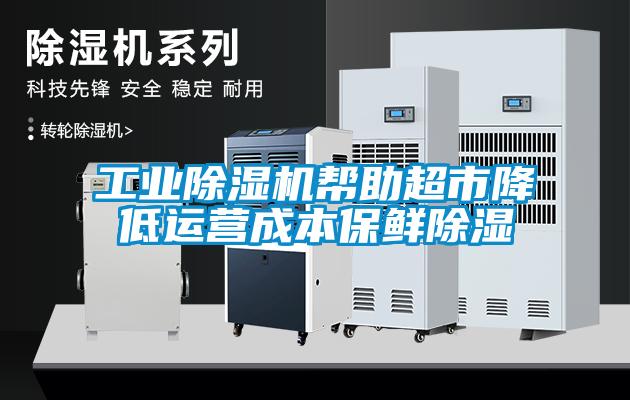 工業(yè)除濕機幫助超市降低運營成本保鮮除濕