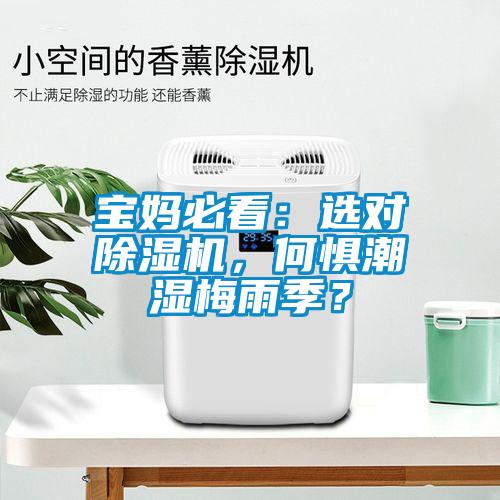 寶媽必看：選對除濕機，何懼潮濕梅雨季？
