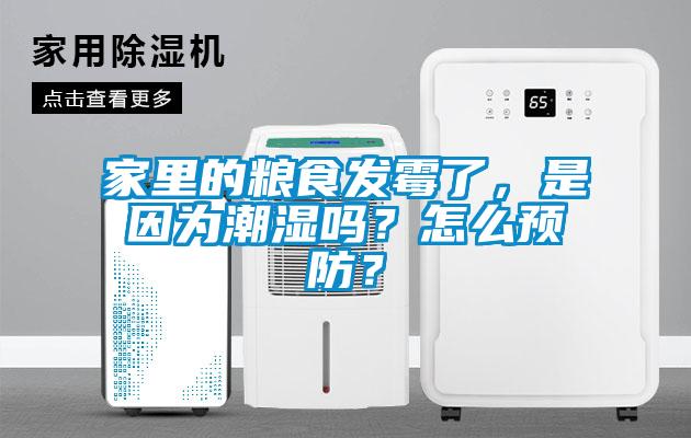 家里的糧食發(fā)霉了，是因為潮濕嗎？怎么預(yù)防？