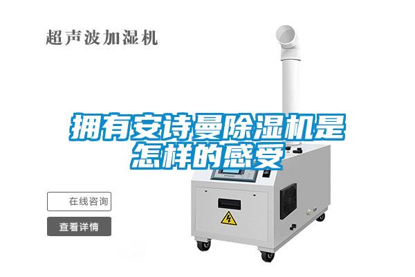 擁有安詩(shī)曼除濕機(jī)是怎樣的感受