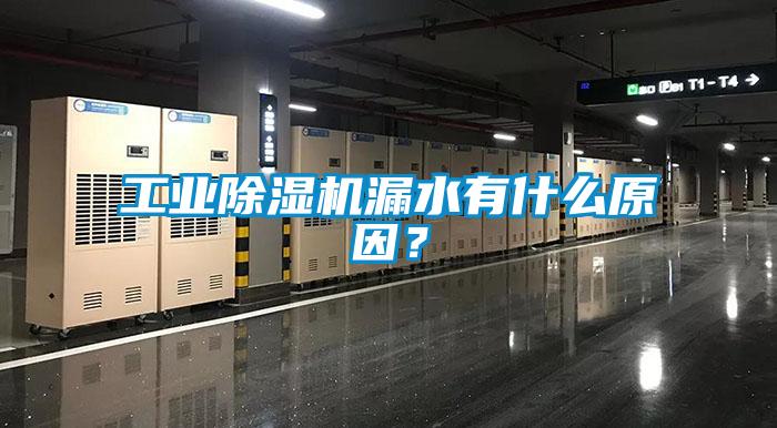 工業除濕機漏水有什么原因？