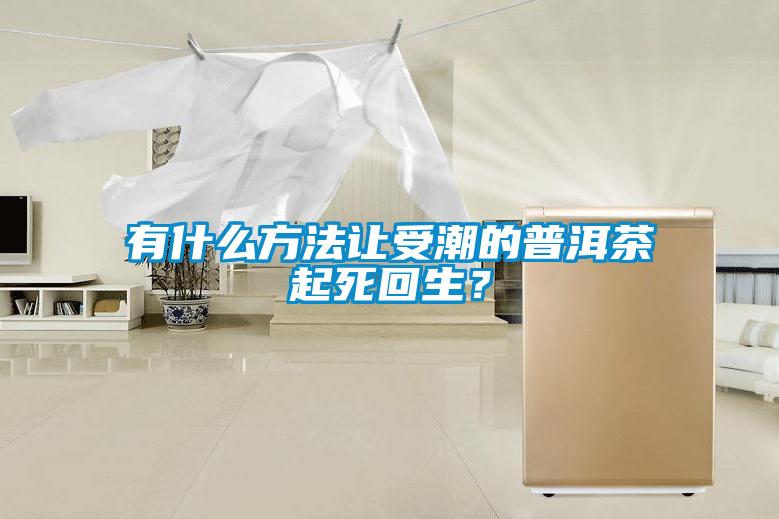 有什么方法讓受潮的普洱茶起死回生？