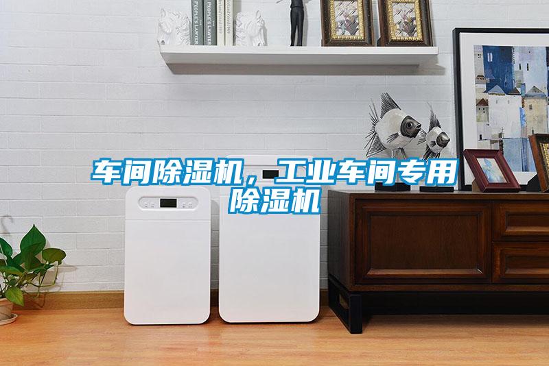 車(chē)間除濕機(jī)，工業(yè)車(chē)間專用除濕機(jī)