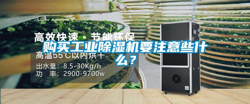 購買工業(yè)除濕機要注意些什么？