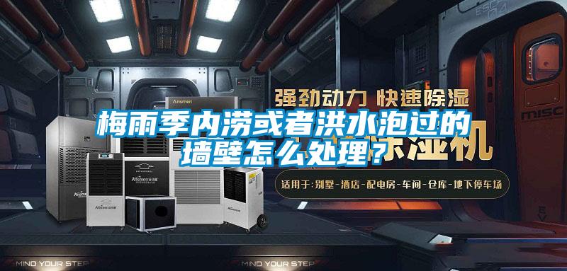 梅雨季內(nèi)澇或者洪水泡過(guò)的墻壁怎么處理？