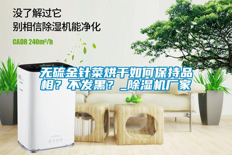 無硫金針菜烘干如何保持品相？不發(fā)黑？_除濕機廠家
