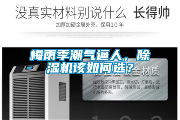 梅雨季潮氣逼人，除濕機該如何選？