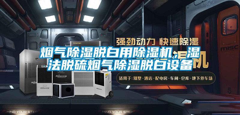 煙氣除濕脫白用除濕機，濕法脫硫煙氣除濕脫白設(shè)備