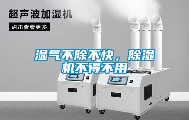 濕氣不除不快，除濕機不得不用
