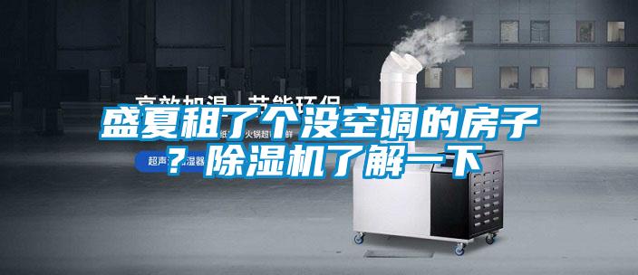 盛夏租了個(gè)沒空調(diào)的房子？除濕機(jī)了解一下