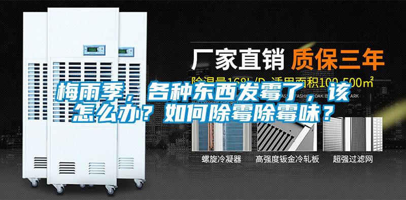 梅雨季，各種東西發霉了，該怎么辦？如何除霉除霉味？