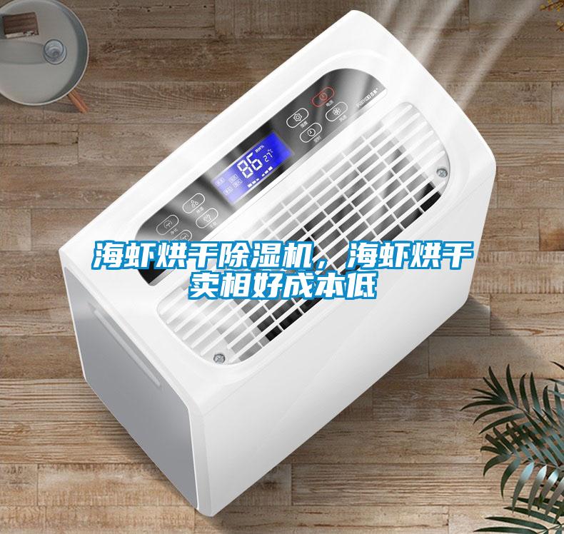 海蝦烘干除濕機，海蝦烘干賣相好成本低