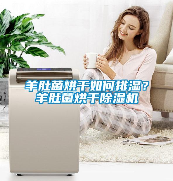 羊肚菌烘干如何排濕？羊肚菌烘干除濕機