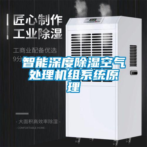 智能深度除濕空氣處理機(jī)組系統(tǒng)原理