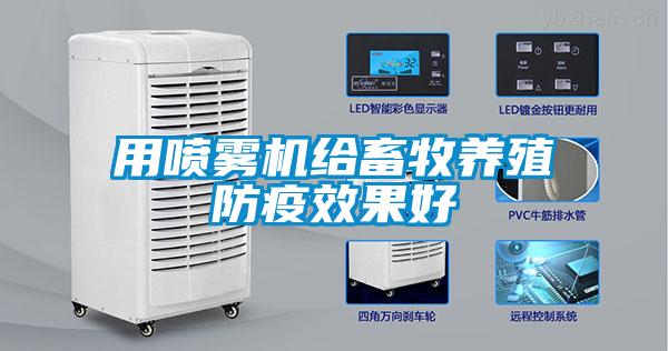 用噴霧機(jī)給畜牧養(yǎng)殖防疫效果好