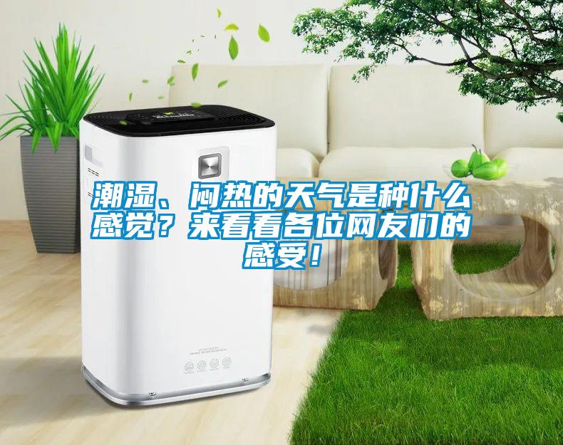 潮濕、悶熱的天氣是種什么感覺？來看看各位網友們的感受！