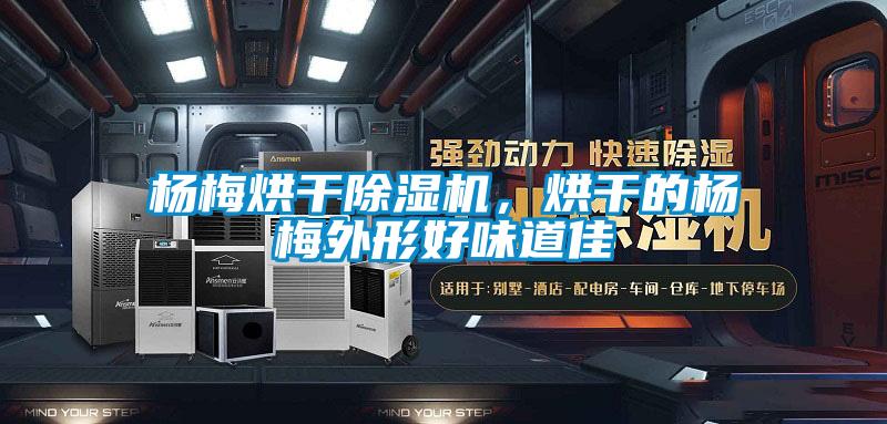 楊梅烘干除濕機，烘干的楊梅外形好味道佳
