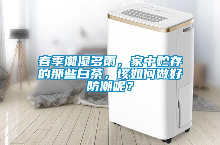春季潮濕多雨，家中貯存的那些白茶，該如何做好防潮呢？