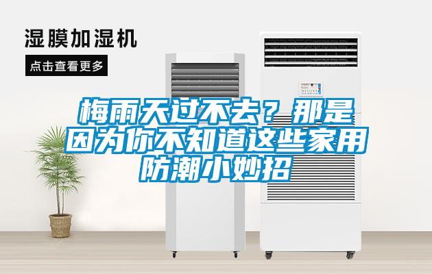 梅雨天過不去？那是因?yàn)槟悴恢肋@些家用防潮小妙招