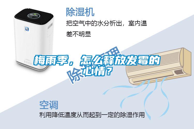 梅雨季，怎么釋放發(fā)霉的心情？