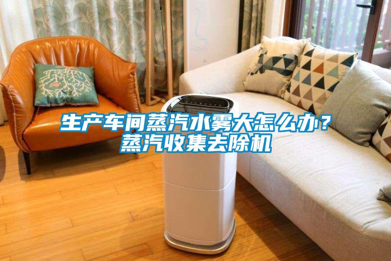 生產車間蒸汽水霧大怎么辦？蒸汽收集去除機